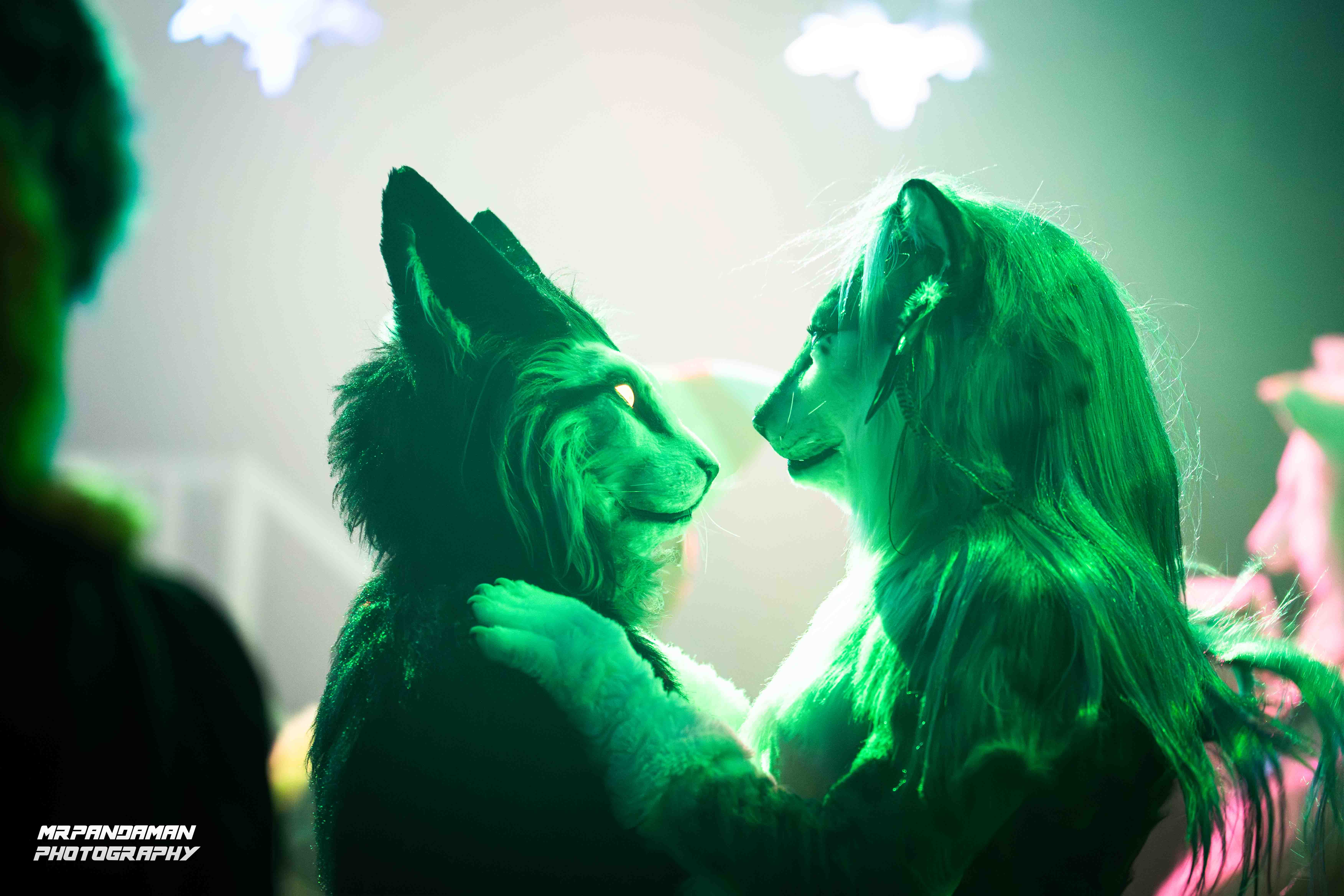 DSC05251 - Nordic Fuzz Con 2026